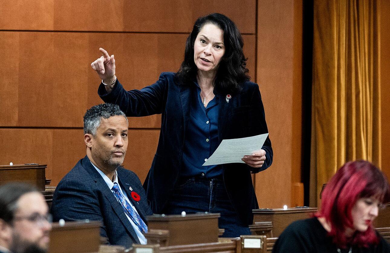 NDP MP heather mcpherson’s letter to anita anand re: un vote